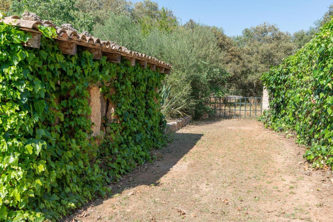 Sunset Private Eco-Villa Can Vey Inca  Dış mekan fotoğraf