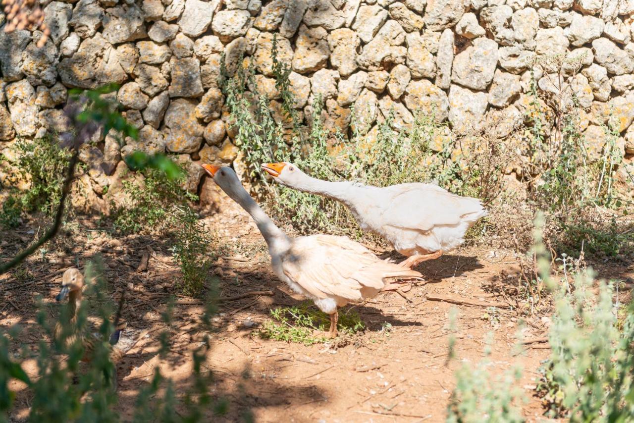 Sunset Private Eco-Villa Can Vey Inca  Dış mekan fotoğraf